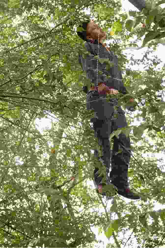 A Man Hanging From A Tree In The Forest The Hanging Tree (A Brother Athelstan Mystery 21)