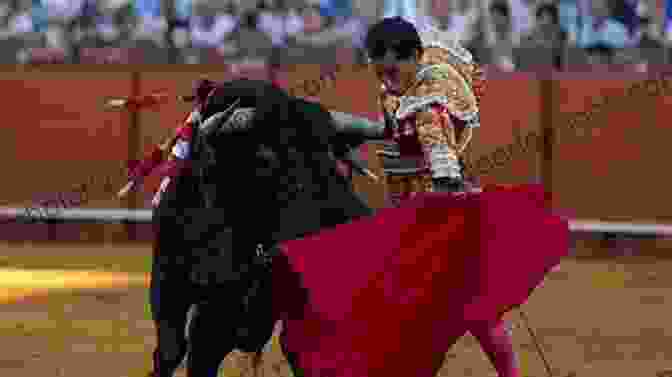 A Matador Performs A Cape Pass During A Bullfight Into The Arena: The World Of The Spanish Bullfight