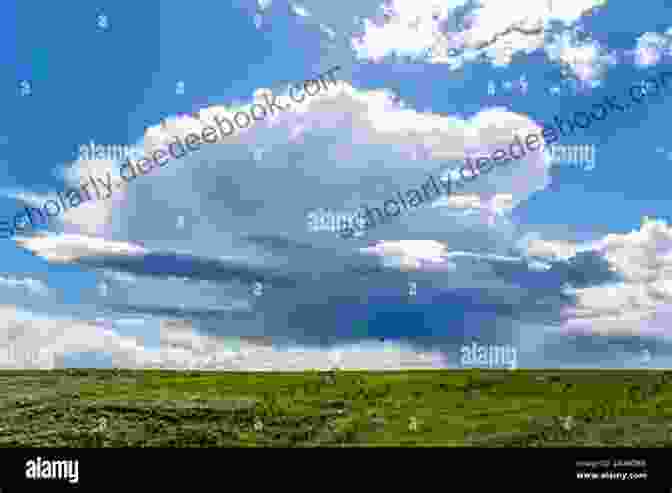 A Photo Of A Vast Field Under A Big Sky In The Summer. Big Sky Summer (The Parable 4)