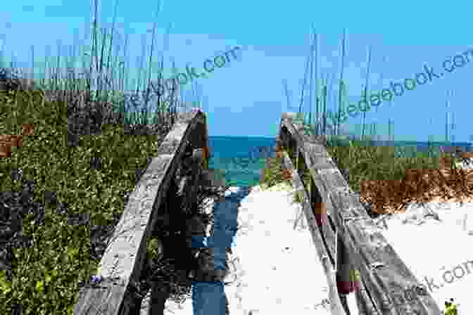 Summer On Cape San Blas, Florida A Year On The Bay St Joseph Bay Cape San Blas And The Beaches