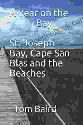 A Year On The Bay St Joseph Bay Cape San Blas And The Beaches