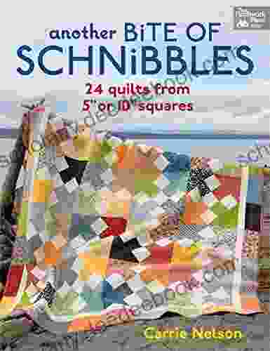 Another Bite Of Schnibbles: 24 Quilts From 5 Or 10 Squares