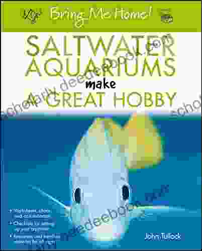 Bring Me Home Saltwater Aquariums Make A Great Hobby