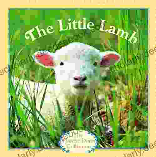 The Little Lamb (Pictureback(R))