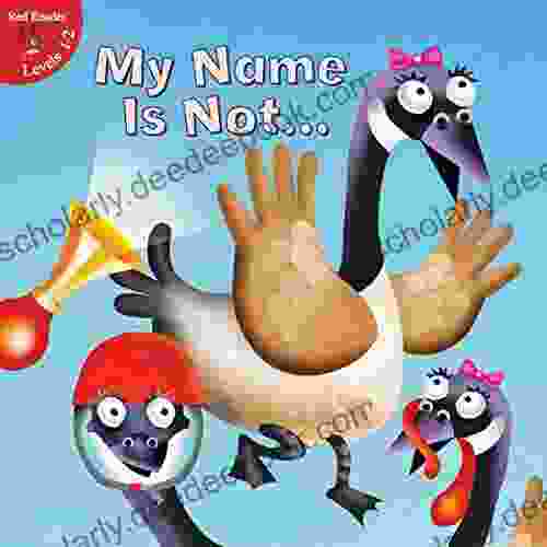 My Name Is Not (Little Birdie Books)