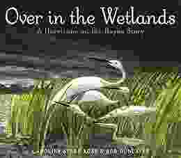 Over In The Wetlands: A Hurricane On The Bayou Story