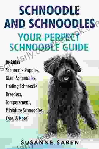 Schnoodle And Schnoodles: Your Perfect Schnoodle Guide Includes Schnoodle Puppies Giant Schnoodles Finding Schnoodle Breeders Temperament Miniature Schnoodles Care More